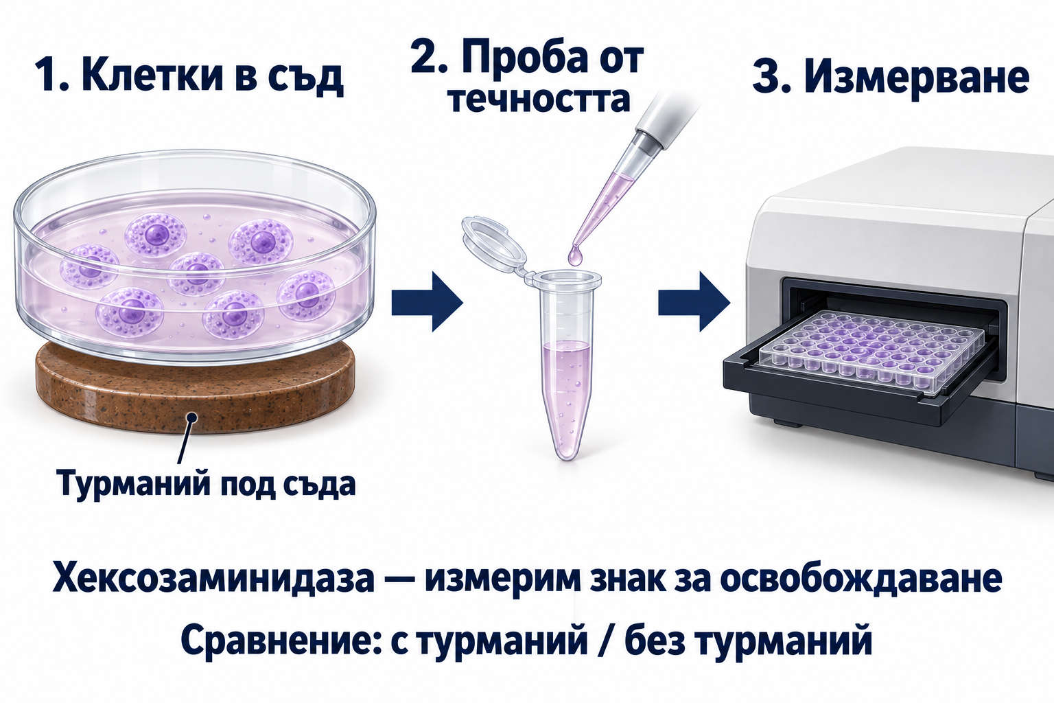 Лабораторен съд над турманий, вземане на течност около клетките и лабораторно измерване на ензима хексозаминидаза.